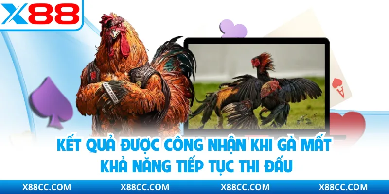 Kết quả được công nhận khi gà mất khả năng tiếp tục thi đấu